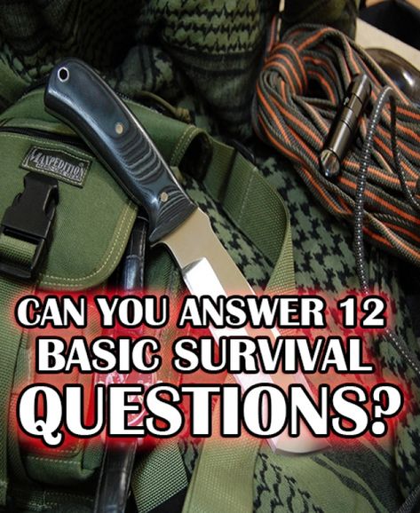 Zombie Apocalypse Quiz, Tv Challenge, Zombies Apocalypse Survival, Prepping Supplies, Apocalypse Survivor, Female Urinal, Outdoor Survival Kit, Survival Quotes, Tactical Pen