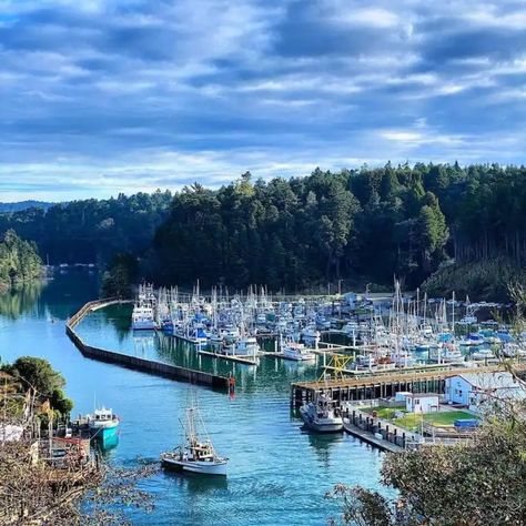 Noyo Harbor, Fort Bragg, California Fort Bragg California, Fort Bragg, Spring Break, Fort, California