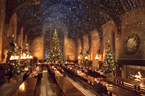 Set Your Zoom Background as One of These 10 Awesome TV and Film Sets — The Latch Christmas Animated Gif, Christmas Wallpapers Tumblr, Hogwarts Great Hall, Christmas Desktop Wallpaper, Hogwarts Christmas, Harry Potter Stories, Christmas Desktop, Christmas Aesthetic Wallpaper, Yule Ball