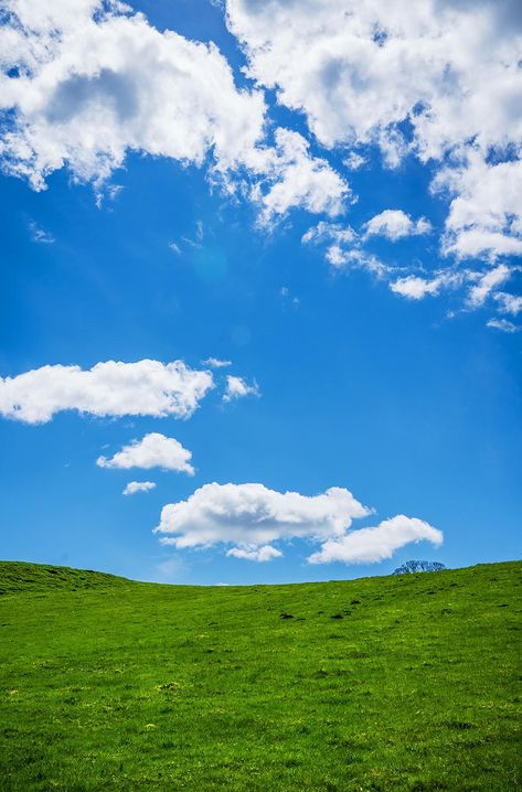 Green Grass Field, Blue Sky Photography, Free Sky, Landscape Aesthetic, Grass Background, Blue Sky Clouds, Wallpaper Kids, Sky Images, Cloud Photos