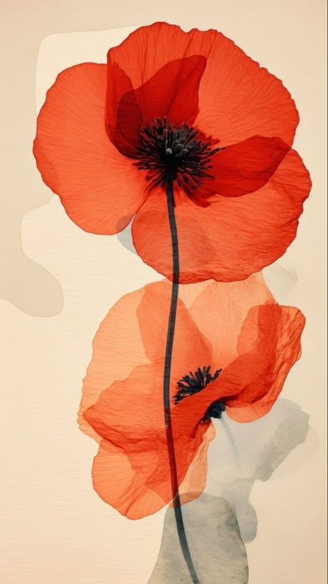 Poppy Background, Yoga Wallpaper, Abstract Poppies, Poppy Wallpaper, Learn Watercolor Painting, Beautiful Scenery Photography, Learn Watercolor, Flowery Wallpaper, About Rose