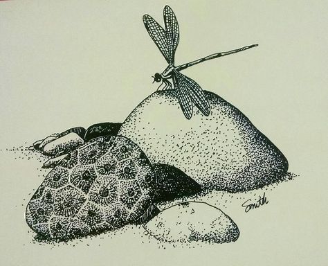 Petoskey Tattoo, Petoskey Stone Tattoo, Great Lakes Tattoo, Petosky Stone, Copic Marker Drawings, Stone Tattoo, Black Ink Art, Beach Drawing, Nature Art Drawings