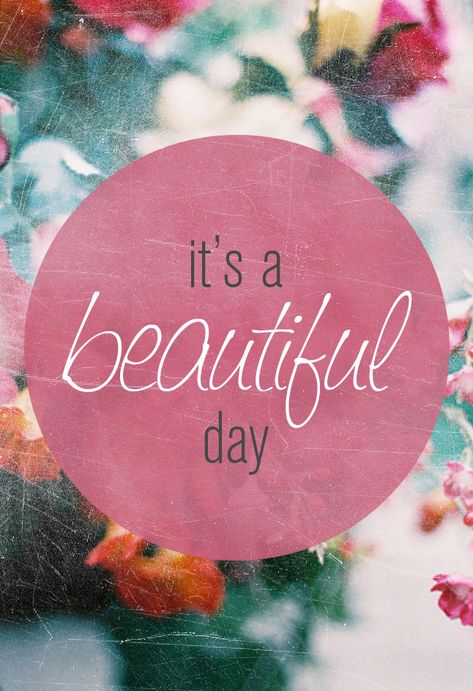 Monday Quote: It’s a beautiful day | Mis Candle Shop June Quotes, Monday Quotes, Candle Shop, A Beautiful Day, Happy Thoughts, Beautiful Quotes, The Words, Great Quotes, Beautiful Words