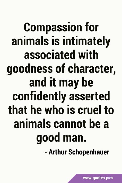 Compassion for animals is intimately associated with goodness of character, and it may be confidently asserted that he who is cruel to animals cannot be a good man. #Character #Animal Animal Compassion Quotes, Compassion Quotes, Arthur Schopenhauer, Actions Speak Louder Than Words, Quotes Pics, Character Quotes, Man Character, Thought Of The Day, Be Yourself Quotes