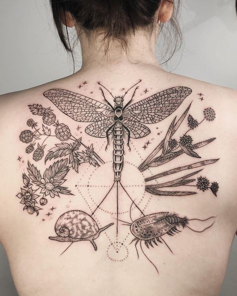 insects Tadpole Tattoo, Pony Reinhardt Tattoo, Pony Reinhardt, Nyc Tattoo, Petit Tattoo, Branch Tattoo, Mayfly, Swallowtail Butterfly, Time Passing