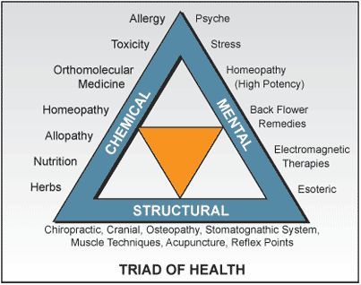 Applied Kinesiology, Manual Muscle Testing, Polarity Therapy, Sensory Nerves, Muscle Testing, Homeopathy Medicine, Yoga Anatomy, Holistic Care, Holistic Therapies