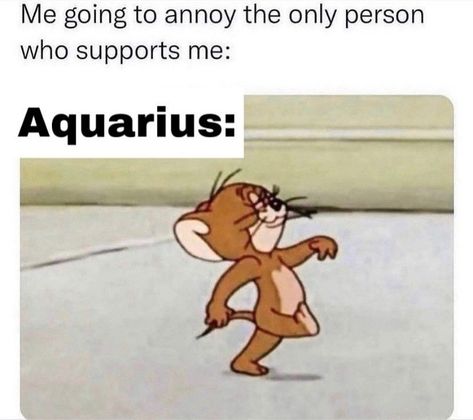 Aquarius Funny Fun Facts, Aquarius Funny, Aquarius Things, Aquarius Personality, Star Signs Aquarius, Aquarius Traits, Aquarius Truths, Aquarius Life, Zodiac Signs Chart