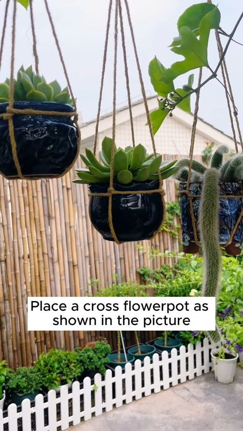 1.2M views · 17K reactions | Good tips for everyone #gardening #garden #gardeningtips #gardenlife #gardeninspiration #gardenideas #gardenlove #gardendesign #gardenersofinstagram #gardenersworld #garden_styles #gardenphotography #gardenlovers #gardenerslife #gardenart #gardenbeauty #gardensofinstagram #gardenplants #gardenviews #gardenersparadise #gardenista #gardeningcommunity #gardenloversclub #gardenaddict #gardeners #gardenerslife | Gardening Hacks | Gardening Hacks · Original audio Odd Plants, Garden Hacks Diy, Making Plant Pots, Weird Plants, Garden Workshops, Garden Hacks, Growing Gardens, Gardening Hacks, Plant Hacks