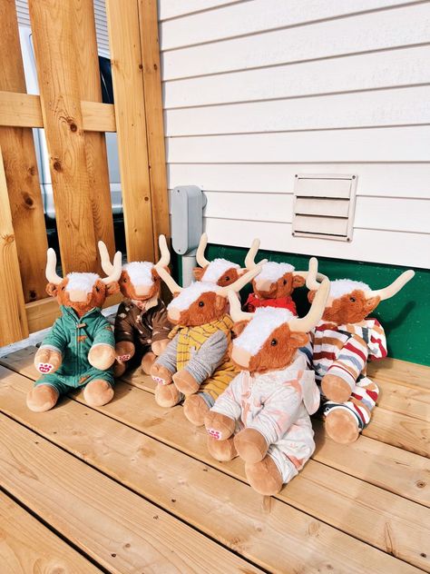 Long Horn Cow Build A Bear, Boho Stuffed Animals, Longhorn Build A Bear Aesthetic, Build A Bear Longhorn Aesthetic, Build A Bear Highland Cow, Longhorn Build A Bear, Build A Bear Longhorn, Cow Build A Bear, Build A Bear Aesthetic