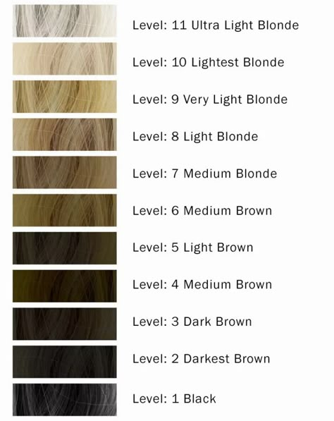 Hair Color Levels and Different Volumes of Developers | WunderKult Hair Level Chart 1-10, Bleach Hair Levels, 10 Levels Of Hair Color, Bleach Levels Hair Color, Color Levels 1-10 Hair Chart, Hair Levels 1-10 Chart Bleach, Bleach Level Chart, Hair Developer Volume Chart, Hair Levels 1-10 Chart