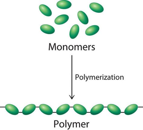 During a polymerization reaction, a large number of monomers become connected by covalent bonds to form a single long molecule, a polymer. Tissue Engineering, Stem Elementary, Covalent Bonding, Chemical Bond, Materials Science, Science Fair Projects, Stem Education, Organic Chemistry, Learning Science