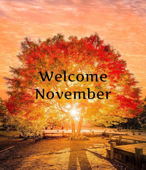 November Is Here, Welcome November Images, Hello November Images, Welcome November Quotes, Happy New Month Images, November Decor, Hallo November, Monthly Reminders, Heart Exercise