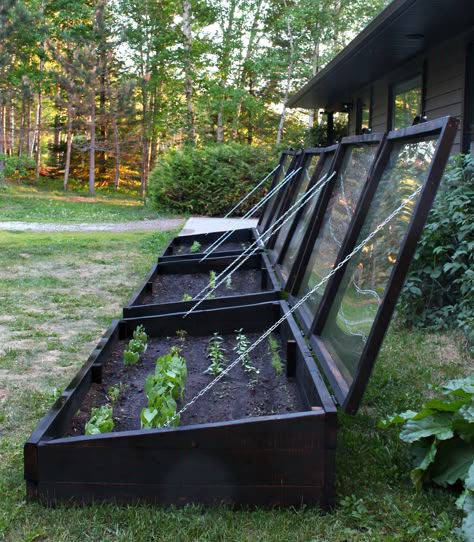 Winter Cold Frame Gardening, Garden Cold Frame Diy, Cold Frame Garden, Coldframe Gardening Diy, Cold Frames Gardening, Diy Cold Frame Ideas, Diy Cold Frames, Diy Cold Frame Greenhouse, Diy Cold Frame Raised Beds