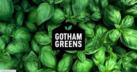 Win prizes from Gotham Greens and friends for unforgettable family cooking nights! #giveaway #promotion #entertowin Gotham Greens, Instagram Giveaway, 70th Anniversary, Family Cooking, 15th Anniversary, Win Prizes, Jennifer Hudson, New Today, Digital Gift Card