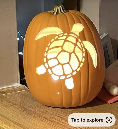 Cute Pumpkins Carvings Ideas, Pumpkin Carving Medium Difficulty, Cute Halloween Pumpkin Carving Ideas, Beachy Pumpkin Carving, Fish Pumpkin Carving Ideas, Fun Pumpkin Carving Ideas Creative, Pumpkin Carving Ideas Mushroom, Preppy Pumpkin Carving