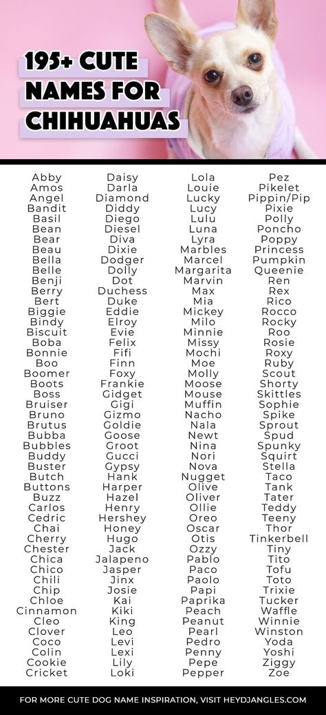 Funny Animal Names List, Funny Names For Dogs, Names For Pets, Funny Pet Names, Animals Name List, Funny Animal Names, Dogs Names List, Cute Pet Names, Chihuahua Names