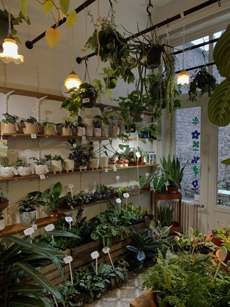 Plant Store Aesthetic, Plants And Coffee, Plant Boutique, Plant Bar, Leuven Belgium, Flower Shop Interiors, Fish Store, Nursery Plants, Plant Store