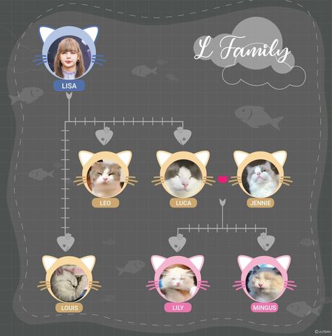 Blackpink Pets, Kpop Chibi Blackpink, Lisa Cat, Blackpink Lisa Lalisa, Lily Cat, Lego Videos, Resin Crafts Tutorial, Lisa Lalisa, Animal Icon