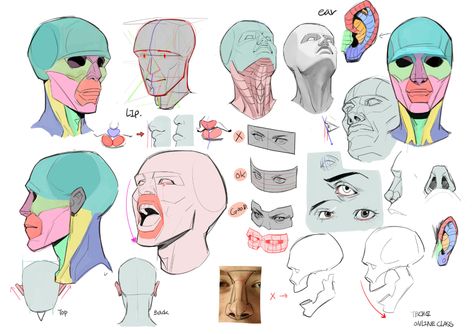 ArtStation - Online Class demo and old project, TB Choi Tb Choi, Head Anatomy, 얼굴 드로잉, Human Anatomy Drawing, 얼굴 그리기, Human Anatomy Art, Anatomy Sketches, Anatomy For Artists, Body Reference Drawing