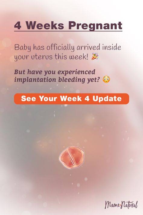 See what's up with baby, mama, and more when you're 4 weeks pregnant. The ultimate week by week natural pregnancy guide! Learn everything from pregnancy symptoms, development, learn to track your baby's growth and natural remedies for a healthy pregnancy. Click to find a complete timeline from the first trimester, second trimester, third trimester with tips for mom and baby to prepare them for a natural birth. #naturalpregnancy #pregnancytips Pregnancy Symptoms Week By Week, Pregnancy Week 4, 3-4 Weeks Pregnant, 5 Weeks Pregnant Symptoms, Week 3 Pregnancy Symptoms, 4 Weeks Pregnant Symptoms, 4weeks Pregnant, 3 Weeks Pregnant Symptoms, Pregnancy By Week