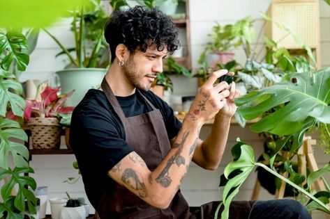 Free Photo | Plant shop worker takes a photo of potted plants Dr Vranjes, Plant App, Shop Photography, Plant Shop, Vintage Lifestyle, Background Ideas, Plant Photography, Shopping Coupons, Plant Pictures