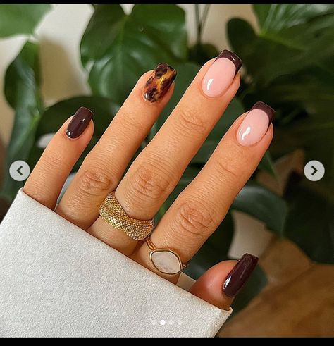 Fall Short Nails, College Nails, Candy Corn Nails, Wife Nails, Nails Collection, Wine Nails, November Nails, February Nails, Cute Simple Nails