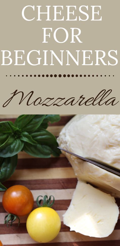 Snacks With Fresh Mozzarella, Whole Milk Mozzarella Recipes, Easy Cheese Making Recipes, Homemade Cheese Recipes Cheesemaking, Homemade Mozzarella Recipes, How To Make Monzerrela Cheese, How To Make Fresh Mozzarella, How To Make American Cheese, How To Make Fresh Mozerella