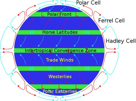 World wind systems map. (ley lines would also follow these) Circulation Diagram, Atmospheric Circulation, Family Tree Worksheet, Flow Map, Pattern Worksheet, Storm Chasing, Geography Map, World Geography, Wind Energy