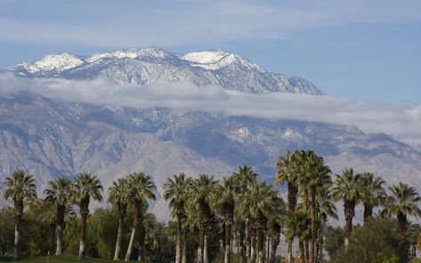 Snow capped San Jacinto Mountains | #PalmSprings Snow Plant, San Jacinto Mountains, San Gabriel Mountains, Rancho Mirage, San Jacinto, San Gabriel, Coachella Valley, Natural Bridge, Palm Desert