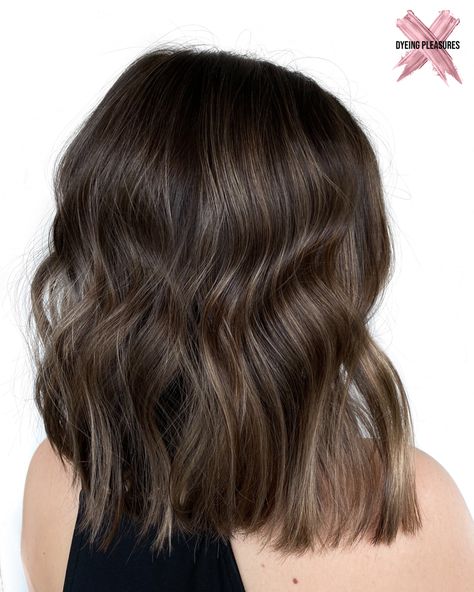 Single Tone Hair Color, Hair Color Medium Skin Tone, Solid Hair Color Ideas For Brunettes, Solid Hair Color Ideas, Single Process Hair Color Brunette, Foilyage Hair Brunettes, Solid Brown Hair Color, Cool Brunette Hair Color, Different Hair Cut