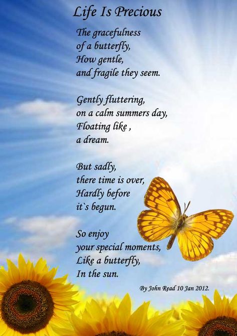 beautiful poems on life | 07 12 36 am poems by magicman hi princecharles i magiced your poem as ... Famous Poems About Life, Short Memorial Quotes, Beautiful Poems About Life, Short Poems About Life, Poetry Quotes Life, Butterfly Poems, Precious Moments Quotes, Nature Poem, Motivational Poems