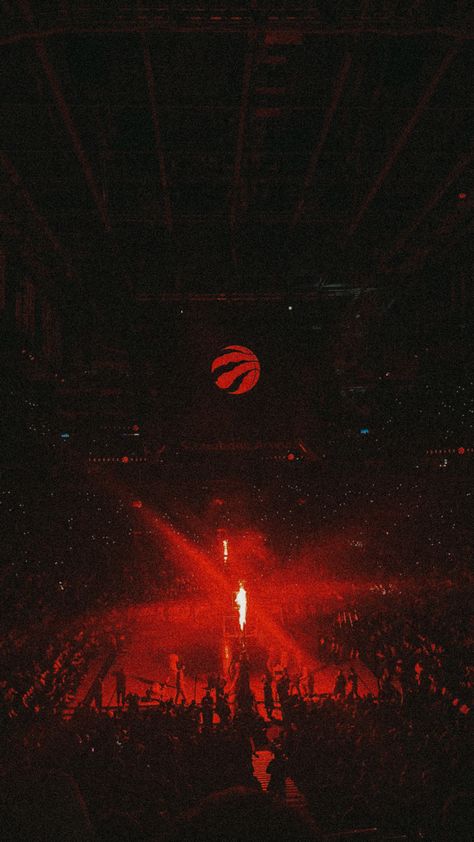 Toronto Raptors Wallpaper Iphone, Toronto Raptors Aesthetic, Nba Photoshoot, Toronto Raptors Wallpaper, Nba Aesthetic, Basketball Aesthetic, Deer Wallpaper, Anime Rapper, Qhd Wallpaper