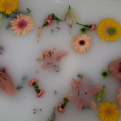 #milk #bath #flowers #aesthetic Kali Nails, Milk Bath Aesthetic, Milk Flower Bath, Flower Bath Aesthetic, Milk Bath Flowers, Bath Flowers, Bath Photos, Bathing Rituals, Milk Bath Photos