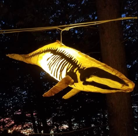 Humpback Whale Skeleton, Skeleton Lamp, Ghost Lantern, Whale Lamp, Whale Skeleton, Fish Lamp, Fish Skeleton, Floor Lamp Styles, Vulture Culture