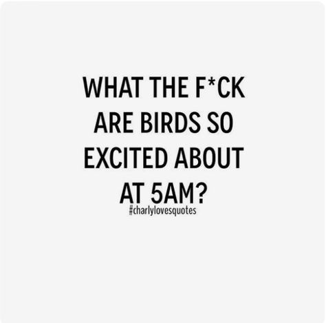 Birds at 5am. Keeping me up from my Sunday morning sleep in. Quotes Literature, Snarky Quotes, Sarcasm Quotes, Funny Quotes Sarcasm, Sassy Quotes, Sarcastic Quotes Funny, Badass Quotes, Story Instagram, Sarcastic Quotes