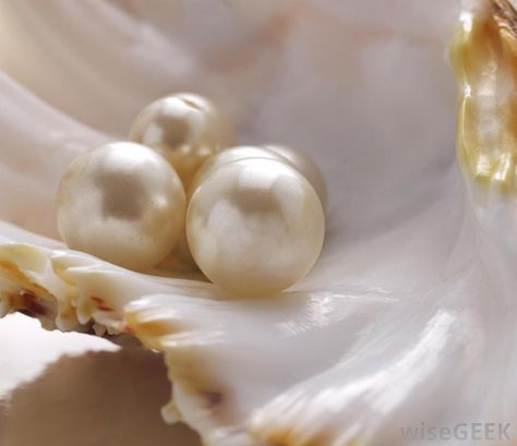 Pearl Aesthetic, Oyster Pearl, Beige Aesthetic, Pearl Shell, June Birth Stone, The Pearl, Precious Gemstones, Black Pearl, Baroque Pearls