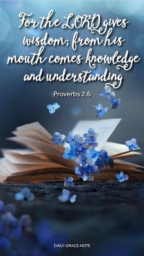 For the LORD grants wisdom! From his mouth come knowledge and understanding - Proverbs 2:6 Proverbs Kjv Scriptures, Proverbs 2:6, Proverbs Kjv, Scripture Images, Proverbs 2, Peace Scripture, Bible Verses Kjv, Daily Grace, Book Of Proverbs