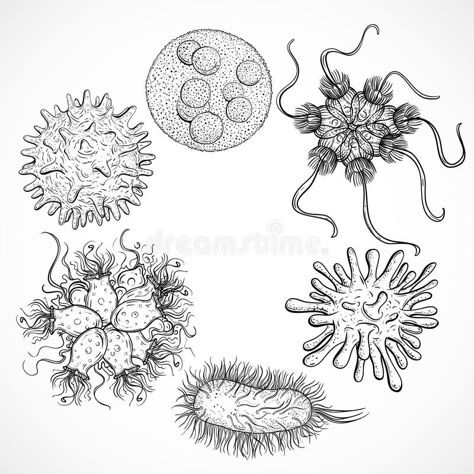 Microbes and viruses. Vintage design set. Black and white realistic hand drawn vector illustration Biology Poster, Dna Tattoo, Biology Art, Bio Art, Hand Drawn Vector Illustrations, Medical Art, Hand Drawn Vector, Zentangle Art, Anatomy Art