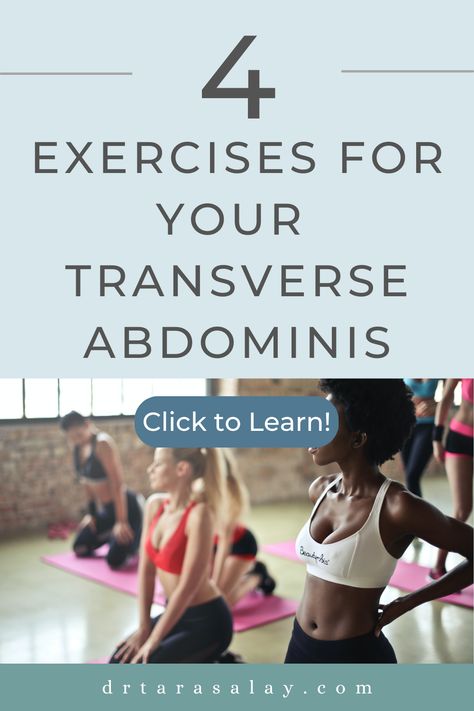 Transverse Abdominal Exercises - Strengthen your core with these deep abdominal exercises! Transverse Abdominis Workout, Transabdominal Exercises, Deep Abdominal Exercises, Transverse Abdominal Exercises, Deep Core Exercises, Transverse Abdominis, Rectus Abdominis, Exercise Board, Muscle Stretches