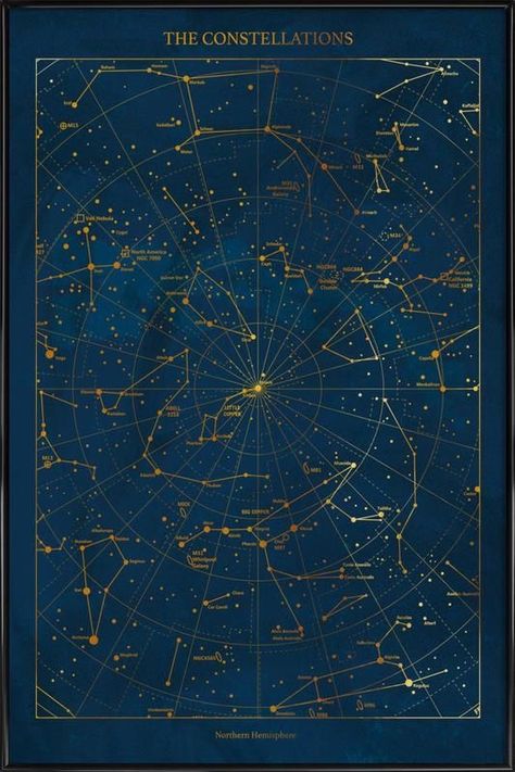 Dark Academia Posters, Constellation Poster, Astronomy Art, The Oracle, Gold Poster, Hakone, Flora Fauna, Vintage Poster Art, Space And Astronomy