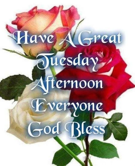 Good Afternoon Tuesday, Afternoon Prayer, Tuesday Quotes Good Morning, Tuesday Blessings, Good Afternoon Quotes, Happy Tuesday Quotes, Good Evening Greetings, Good Morning Greeting Cards, Afternoon Quotes