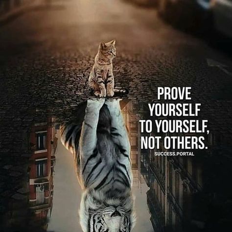 20 Motivational Quotes Brought To You By Big And Powerful Cats | Inspirational quotes motivation, Lion quotes, Motivational quotes Inspirational Quotes Motivation, Motivational Quotes, Inspirational Quotes, Quotes