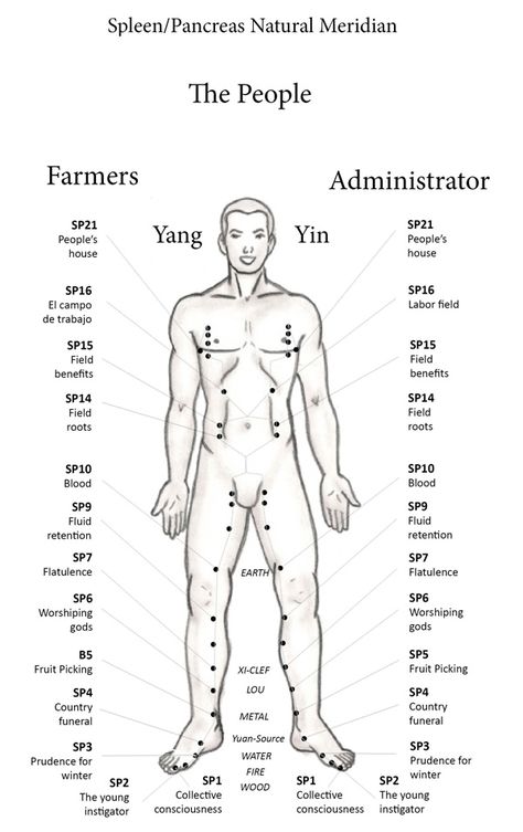 Acupressure Chart, Acupuncture Charts, Meridian Acupuncture, Acupuncture Points Chart, Polarity Therapy, Ear Reflexology, Meridian Points, Acupuncture Benefits, Medical Herbs