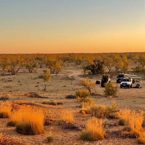 Five Days on the Madigan Line Crossing the Simpson Desert – Part 2 Simpson Desert Australia, Simpson Desert, Australian Adventures, Desert Travel, The Simpson, Adventure Story, 2024 Vision Board, 2024 Vision, Road Trip