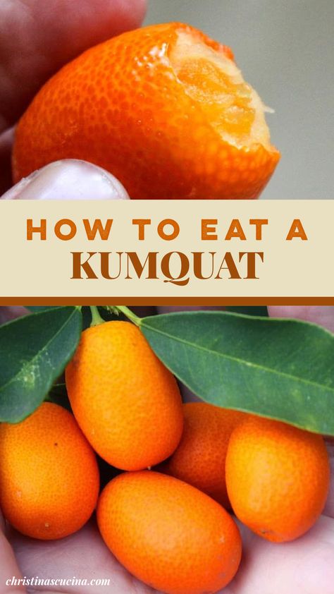 How to eat a kumquat. I’ll tell you one simple thing to do so that your little citrus fruit tastes much sweeter! And yes, you do eat the skin! Kumquat Recipes Easy, Potted Kumquat Tree, Kumquat Recipes Desserts, Kumquat Recipes, Kumquat Tree, Preserving Foods, What Can I Eat, Growing Fruit Trees, Eating Better