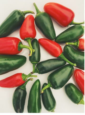 Are you curious about red and green jalapenos? In this article, we'll explore the variations in taste, heat level, and uses of these two popular chili peppers. Know how to use them to spice up your meals. The post The Main Differences Between Red And Green Jalapeno Peppers first appeared on The Rusty Spoon. The post The Main Differences Between Red And Green Jalapeno Peppers appeared first on The Rusty Spoon. Rusty Spoon, Green Jalapeno, Red Jalapeno, Types Of Peppers, Jalapeno Pepper, Eyes Watering, Jalapeno Peppers, Pickling Jalapenos, Red Chili Flakes