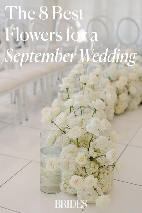 We asked the experts to share the best flowers that are in season for a September wedding. Whether you use them in your bridal bouquet, your wedding ceremony arch, or your wedding centerpiece here are the florals to choose for your late summer or early fall wedding. // Photo: Amanda Donaho Photography All White Fall Wedding Bouquet, White Flowers For Fall Wedding, September Flower Wedding, White Fall Flowers Wedding, Flowers Available In September, Bridal Bouquet September Wedding, September Flowers In Season Weddings, White September Flowers, September Seasonal Flowers