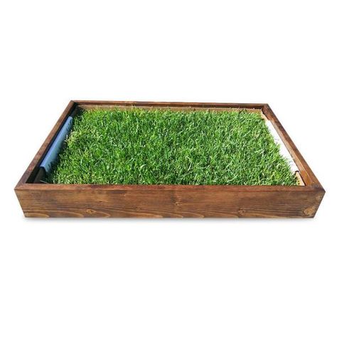 Porch Potty, Dog Litter Box, Dog Room, Dog Potty, Dog Patch, Dog Rooms, Artificial Turf, Puppy Care, Pet Furniture