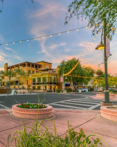 Oasis Springs, Old Town Scottsdale, Save File, Civic Center, Arizona Travel, Food Bank, Scottsdale Arizona, Museum Of Contemporary Art, Career Goals