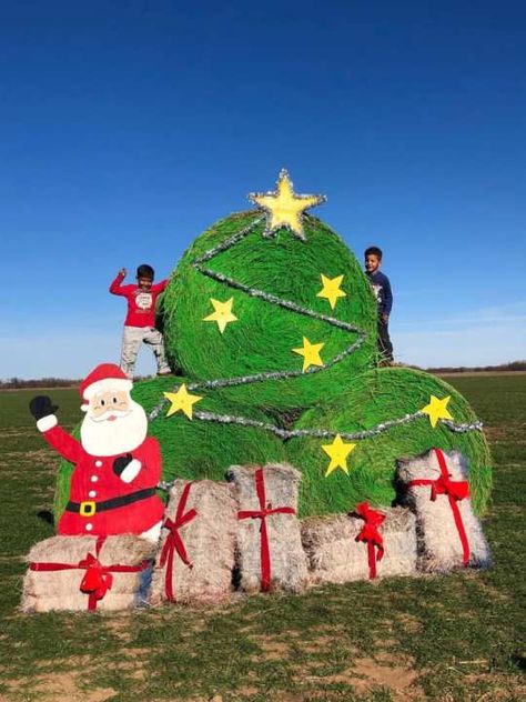 Farm Christmas Parade Float, Haybale Decorating Contest, Turkey Hay Bale Art, Farm Christmas Floats Parade Ideas, Grinch Hay Bale, Christmas Hay Bale Art, Christmas Hay Bales Decoration, Round Hay Bale Decorating Ideas Christmas, Hay Bale Art Round